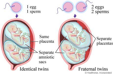 Fig.01